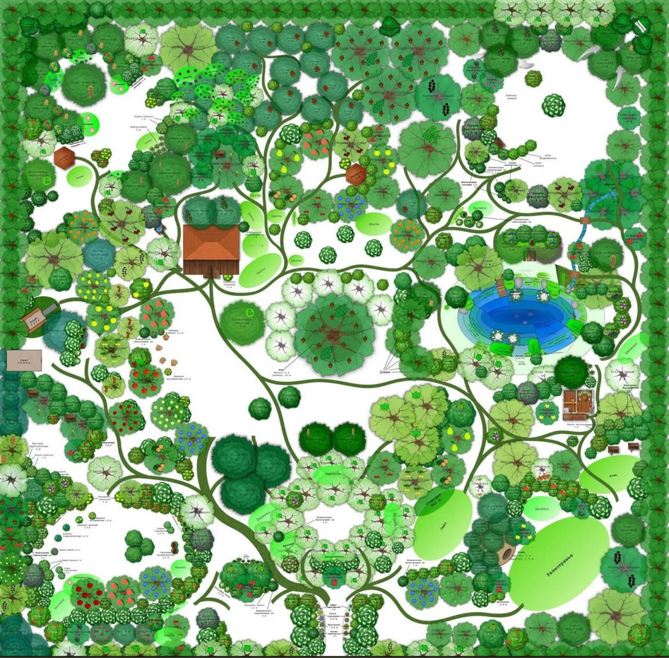 Example of a permaculture design